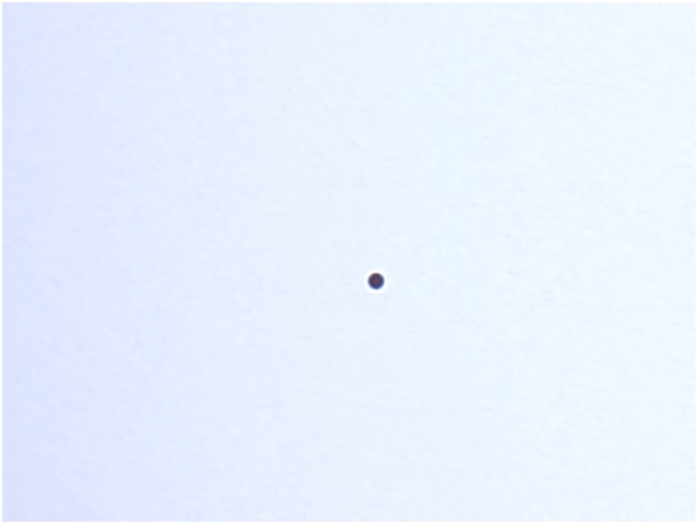 merkurtransit_05_09_2.jpg